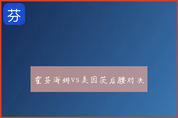 霍芬海姆vs美因茨后腰对决